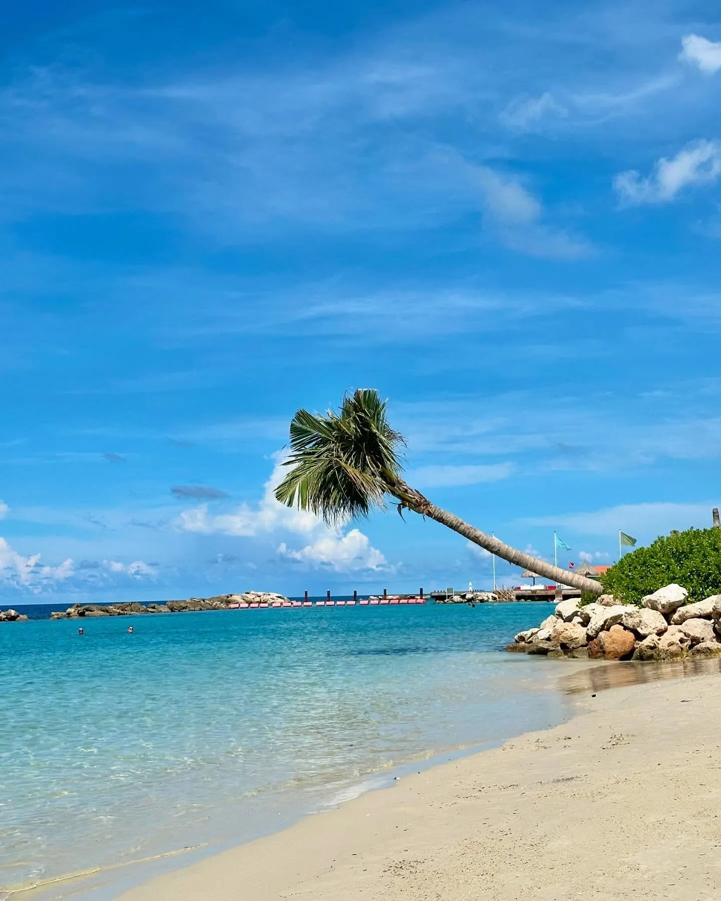 Palm-lined beach morning near NextWave student housing in Curaçao