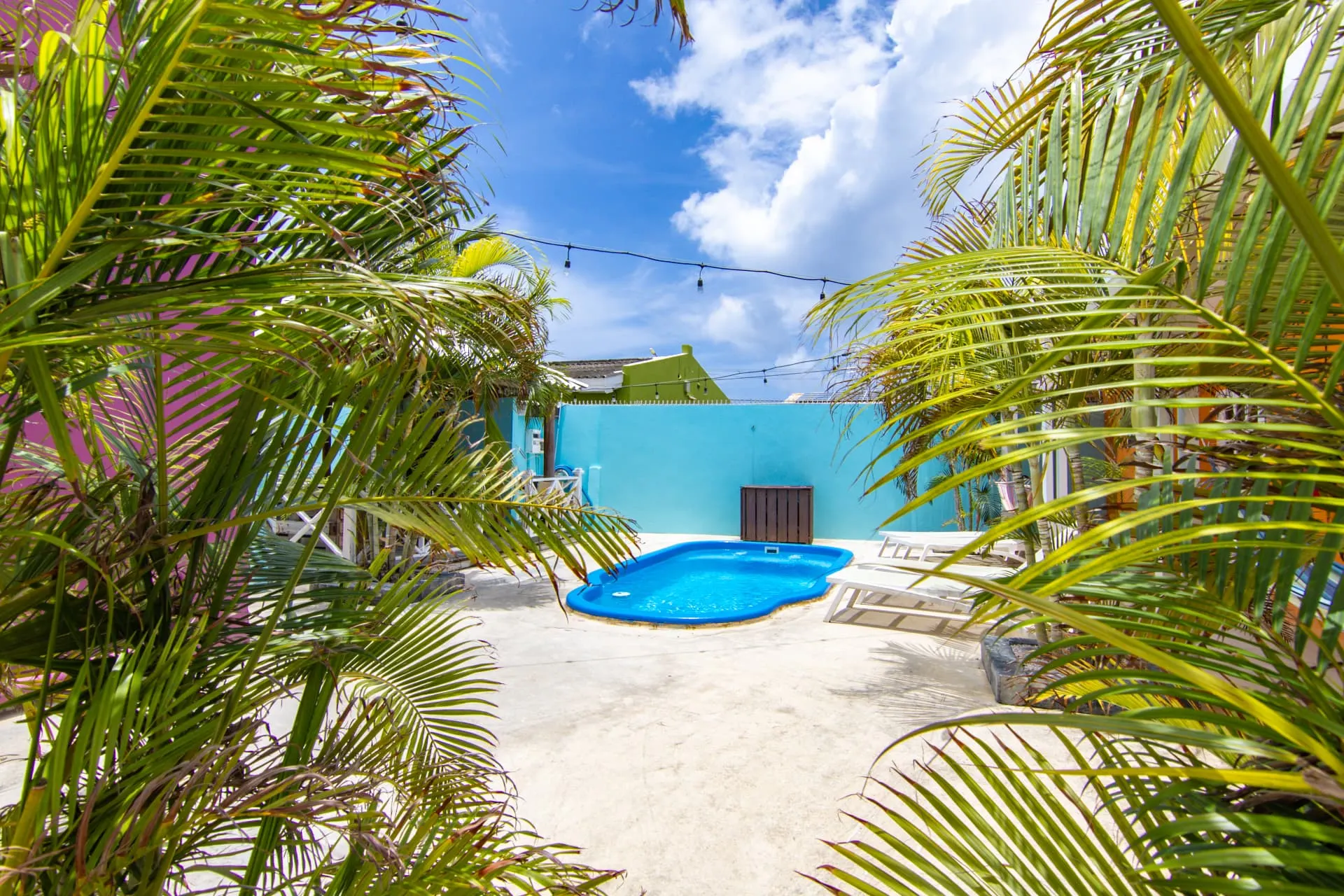 Casa 7 pool framed by palm trees under a bright blue sky